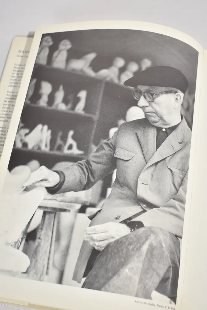 arp-SHVoBVmm-2.webp Arp