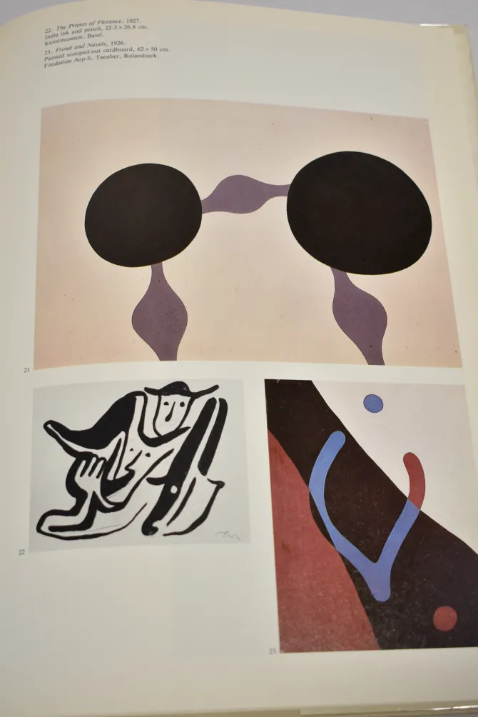 arp-SHVoBVmm-4.webp Arp