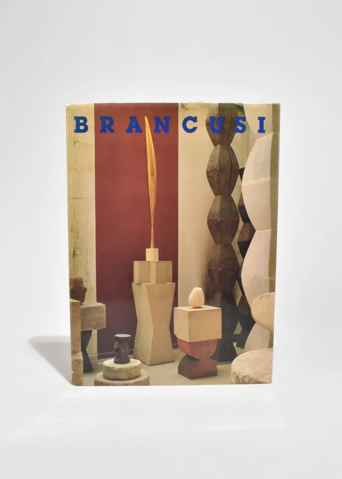 brancusi-kZgcpiSq-0.webp Brancusi