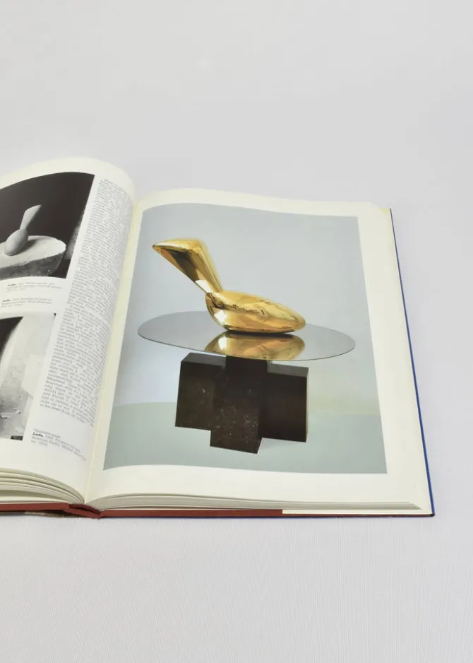 brancusi-kZgcpiSq-3.webp Brancusi