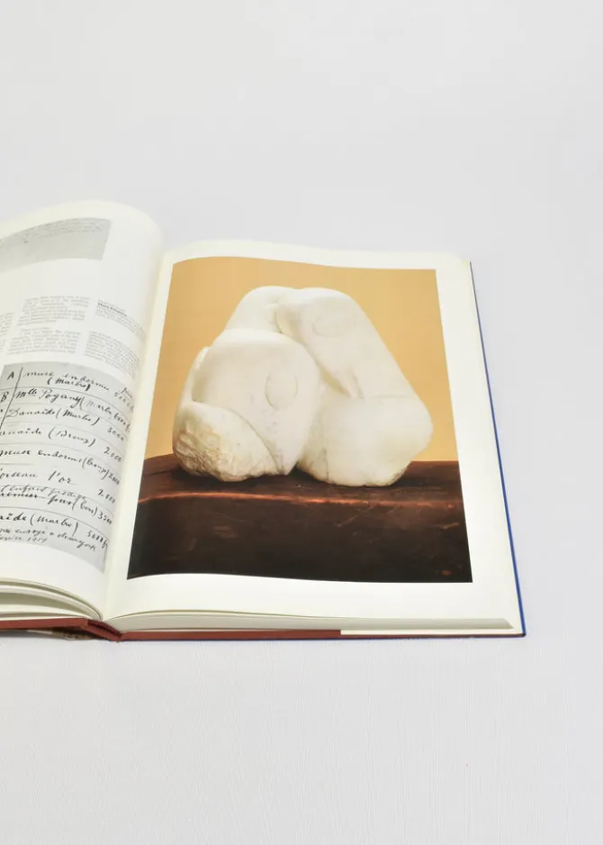 brancusi-kZgcpiSq-4.webp Brancusi