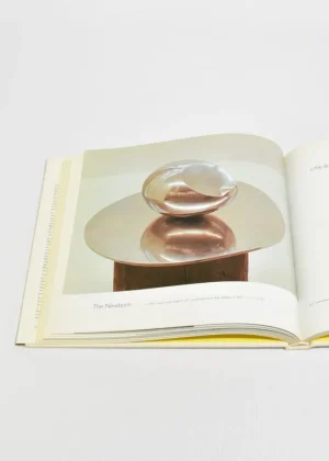 Brancusi: The Sculpture and Drawings