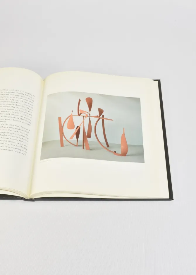 caro-wzYjzktX-1.webp Caro