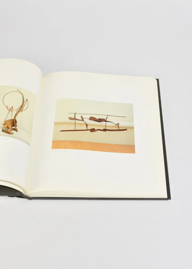 caro-wzYjzktX-3.webp Caro