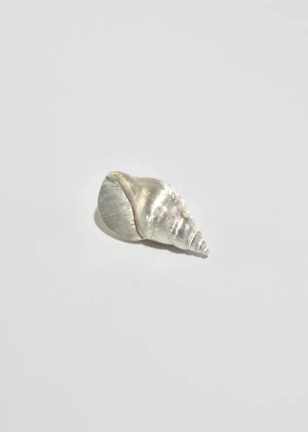 Conch Shell Pillbox