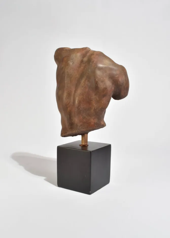 male-torso-sculpture-ZWuVuRMr-2.webp Male Torso Sculpture