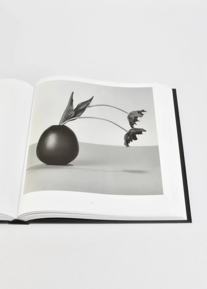 mapplethorpe-flora-JPNCVANM-2.webp Mapplethorpe Flora