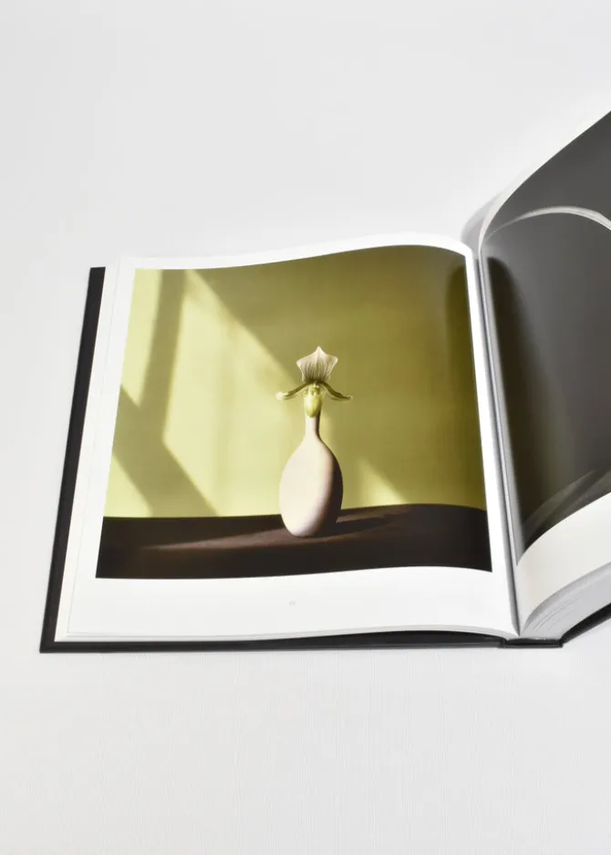 mapplethorpe-flora-JPNCVANM-3.webp Mapplethorpe Flora