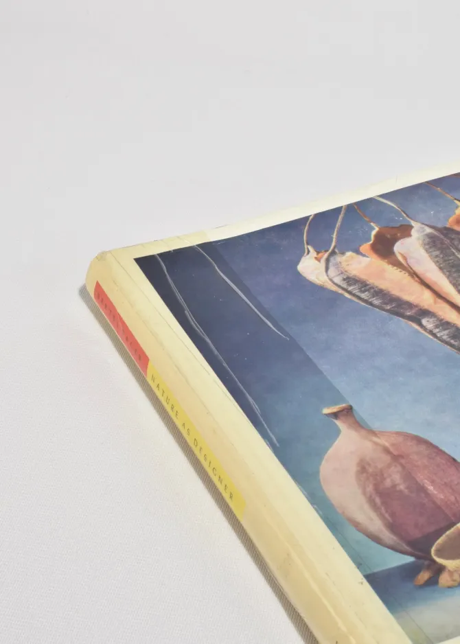 nature-as-designer-eYptqMRu-6.webp Nature as Designer