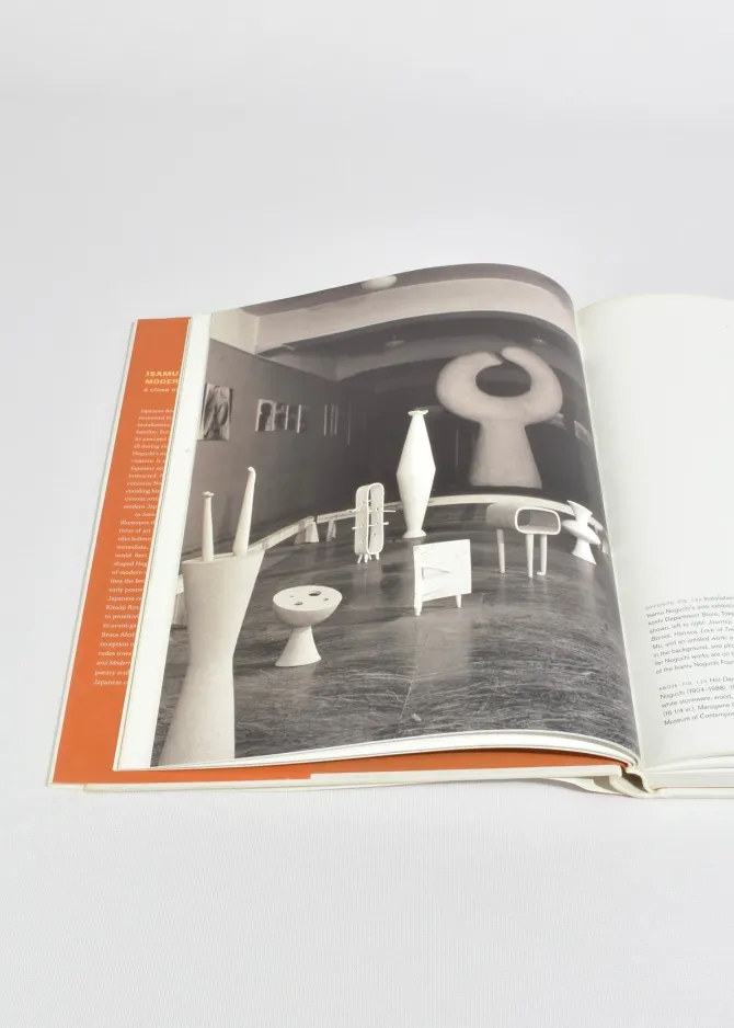 noguchi-VcllgRsB-1.webp Noguchi