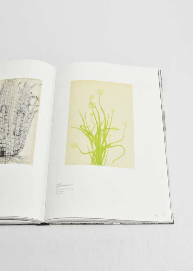 ruth-asawa-sfPMNDqw-4.webp Ruth Asawa