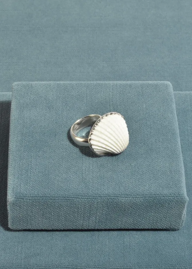 scallop-shell-ring-THqziAEA-1.webp Scallop Shell Ring