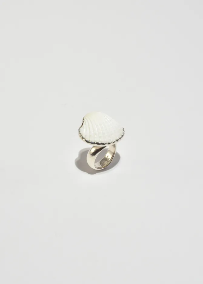 scallop-shell-ring-THqziAEA-4.webp Scallop Shell Ring