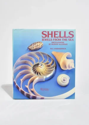 Shells: Jewels From the Sea