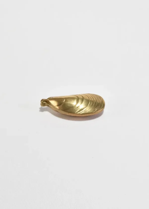 Solid Brass Mussel Shell Box