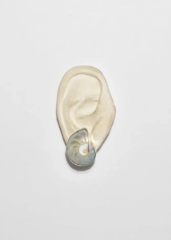 Sterling Shell Earrings