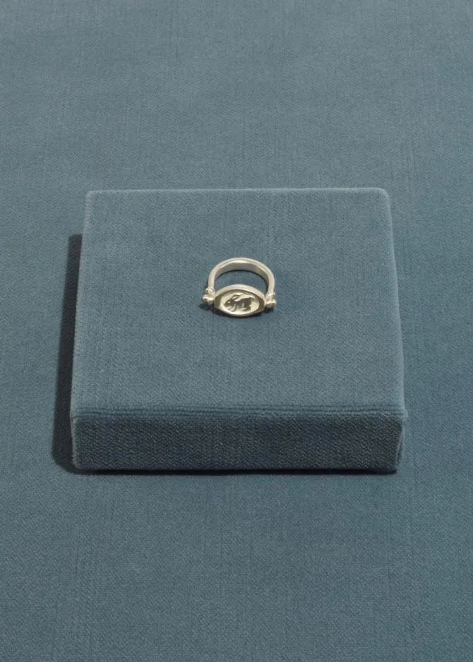 the-chase-ring-MVwiLkSN-2.webp The Chase Ring