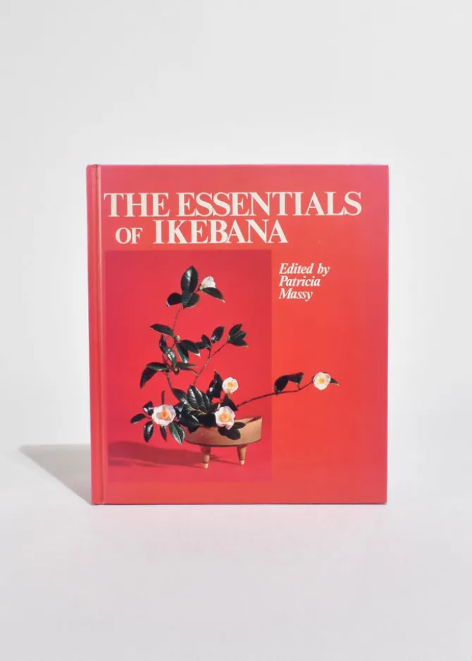 the-essentials-of-ikebana-twaKSJLg-0.webp The Essentials of Ikebana