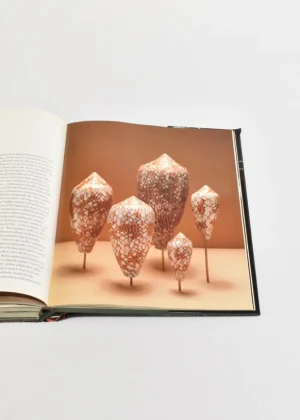 The National Museum of Natural History