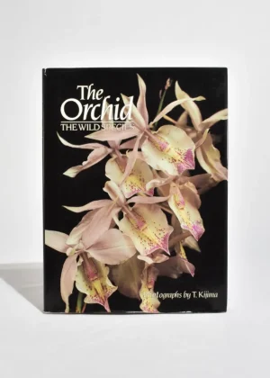 The Orchid