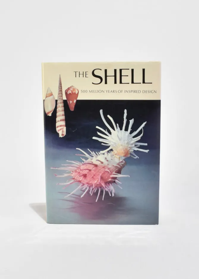 the-shell-HIhdUYmo-0.webp The Shell