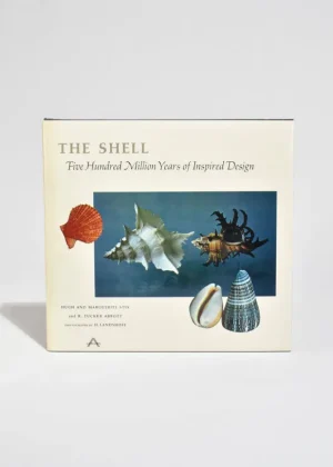 The Shell