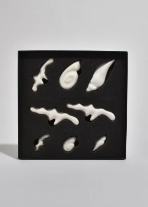 White Shell Rest Gift Set