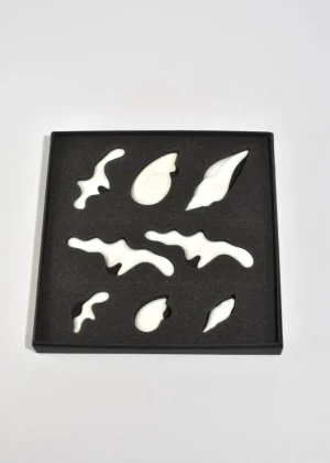 White Shell Rest Gift Set